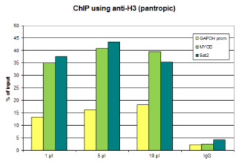 BPS-25235.jpg