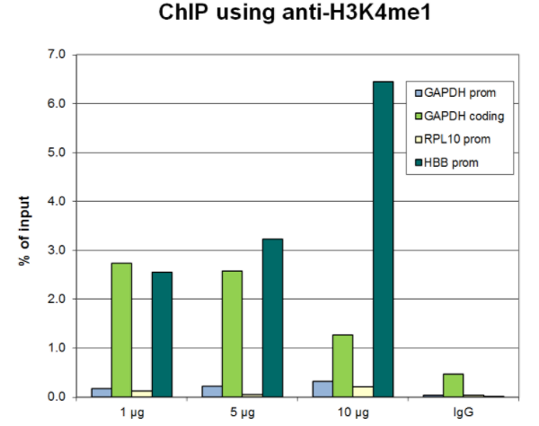 BPS-25252.jpg