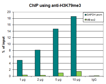 BPS-25263.jpg