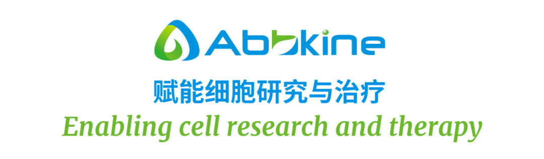 abbkine亞科因.jpg