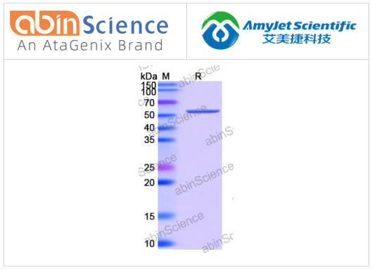 abinscience