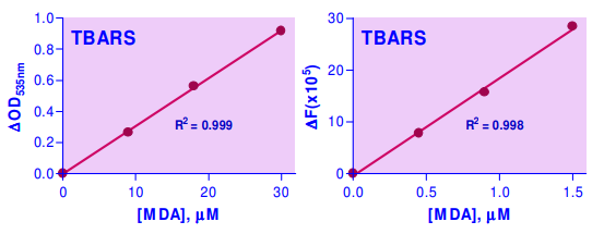 BAS-DTBA-100.jpg