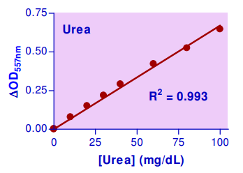 BAS-DUR2-100.jpg