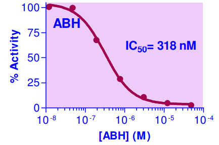 BAS-IARG-100.jpg