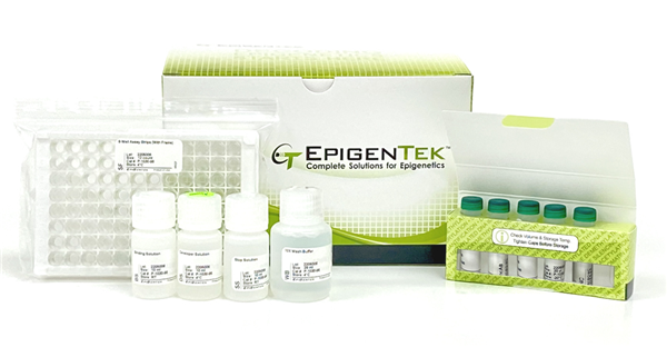 EpiQuik m6A RNA.png