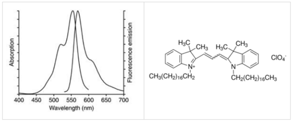 Liposoma-單核巨噬細胞示蹤脂質體Dil LPOSOME