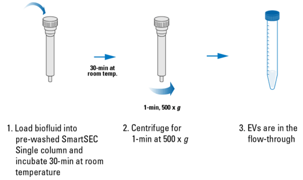 SmartSEC單個囊泡分離系統