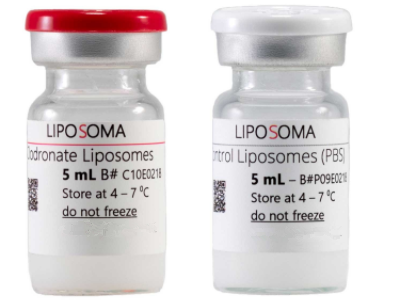 Control liposomes對照脂質體