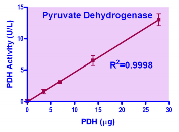 BAS-DPDH-100.jpg