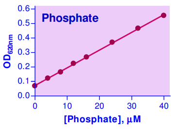 BAS-POMG-25H.jpg