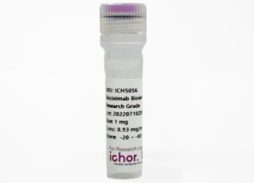 Ichorbio,抗-CD86(GL1)體內抗體