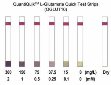QQGLUT10.jpg