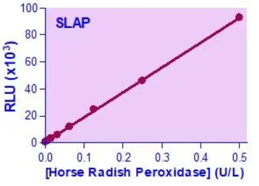 BAS-SLAP-200.jpg