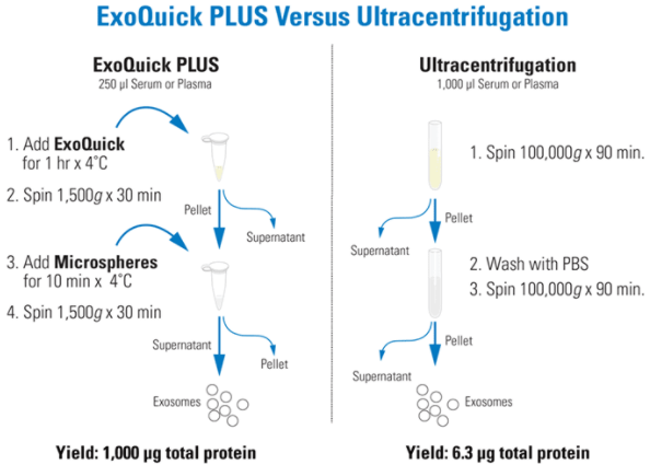 SBI-EQPL10A-1.jpg