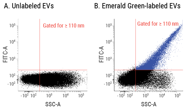 SBI-EXOF100A-3.jpg