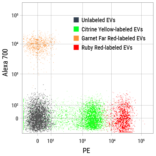 SBI-EXOF200A-2.jpg