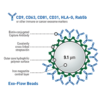 SBI-EXOFLOW210A-1.png