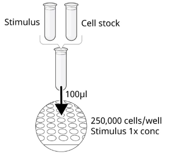 cell stock.png