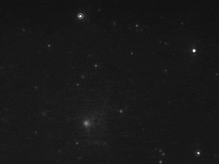 exo-flow32-exo-flow96-nanosight-hek293-exosomes-cd81.gif