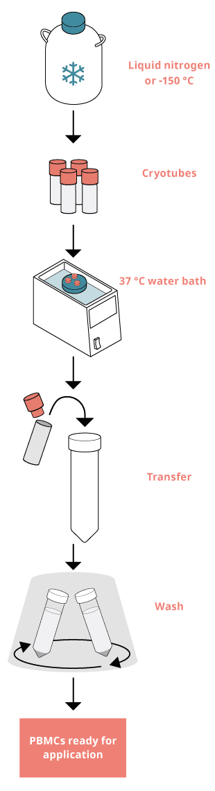 PBMCs-2.png
