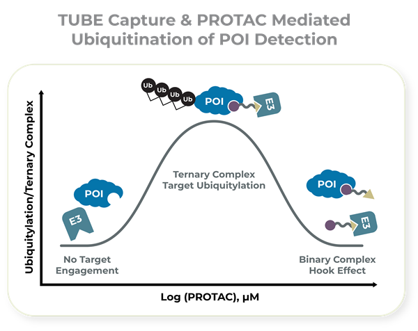PROTAC-1.png
