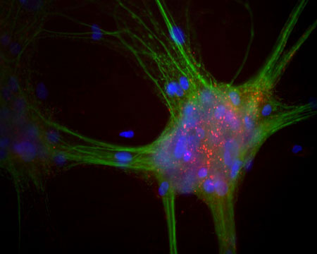 M-1402-100-IHC-450x360.jpg