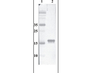 M-1673-100_WB.jpg