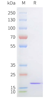 DIMA BIOTECH
