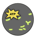 Immunoassays.png