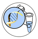 Immunoassays-1.png