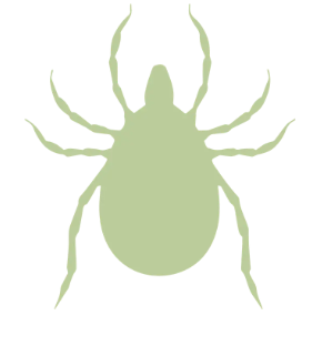 Lyme disease.png