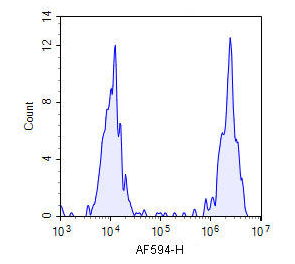 AKES073.jpg