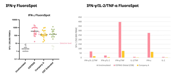 ifn-y-fluorospot.png