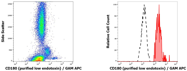 抗人CD180純化低內毒素抗體
