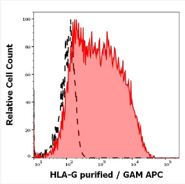 抗HLA-G純化低內毒素抗體