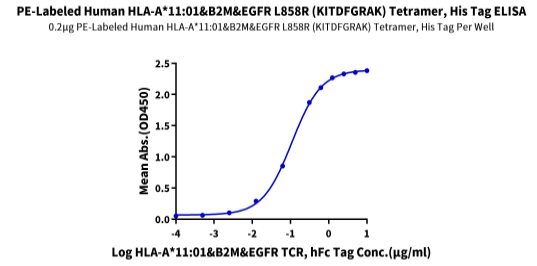 PE標記人類HLA-A*11:01&B2M&EGFR L858R(KITDFGRAK)四聚體蛋白