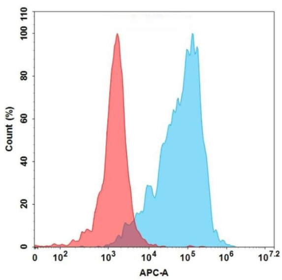 HDBS0073.jpg