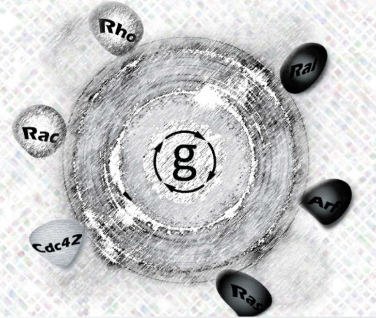 G.png