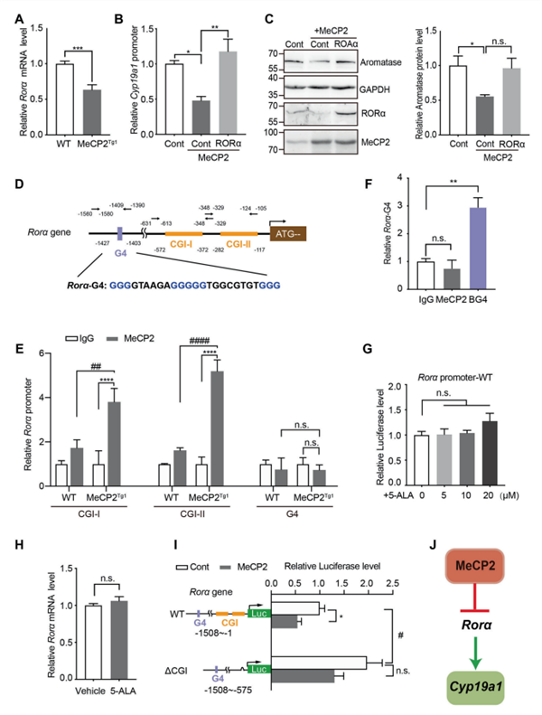 KA2332.png