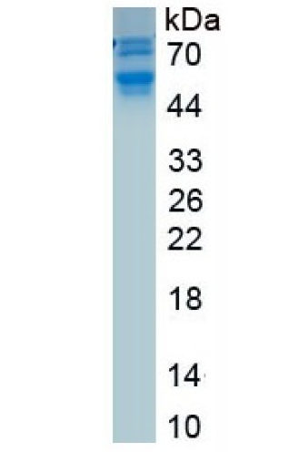 abx068733.png