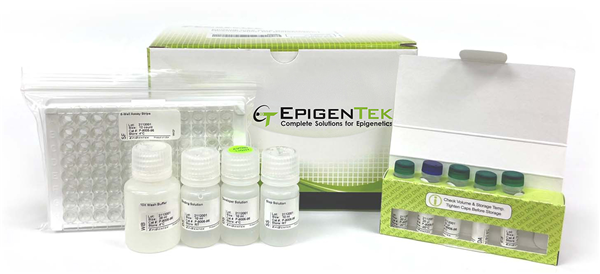 EpigenTek.png