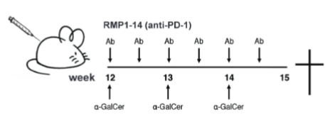 RMP1-14.png