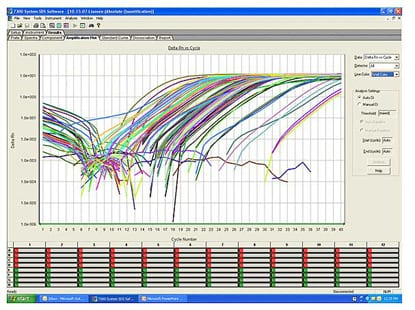 PCR.png