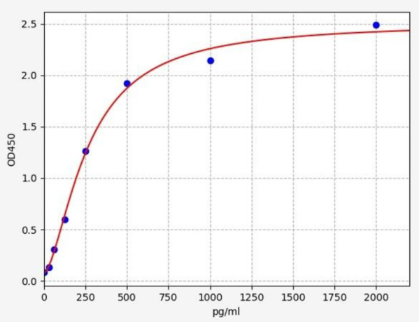 RTFI00670.png