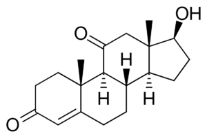 11-Ketotestosterone ELISA Kit-1.png