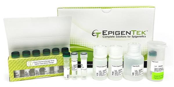 Epigentek.png