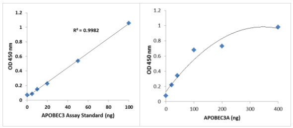 Epigenase APOBEC 3胞苷脫氨酶活性/抑制測定試劑盒