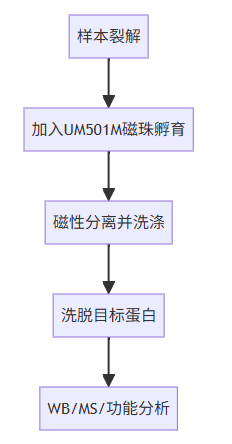 UM501M-1.png