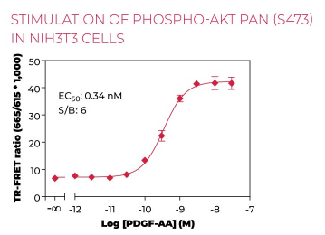 KIT-AKTS473P-100.png