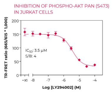 KIT-AKTS473P-100-2.png